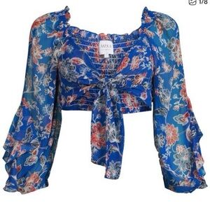 Misa Los Angeles Blue and Red Floral Blouse